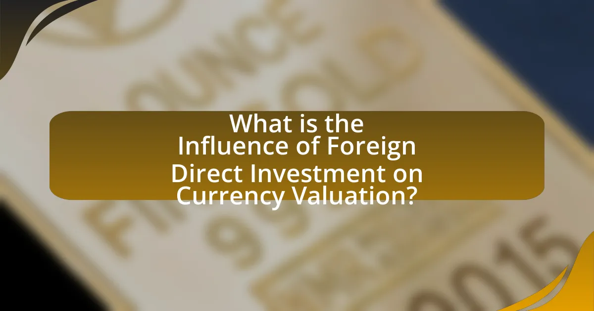 What is the Influence of Foreign Direct Investment on Currency Valuation?